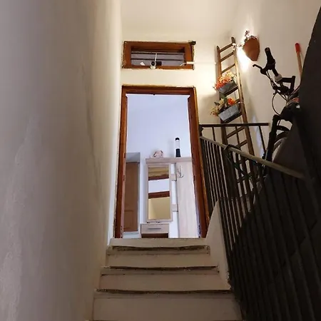 La Casa Dei Gatti Apartamento Syracuse