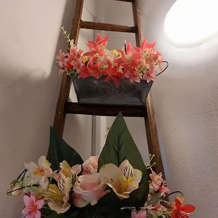La Casa Dei Gatti Szirakúza